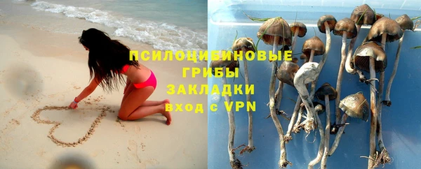 spice Алексеевка