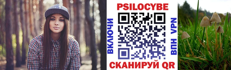 купить наркоту  hydra зеркало  Псилоцибиновые грибы мицелий  Солнечногорск 